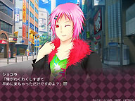 サンプル画像